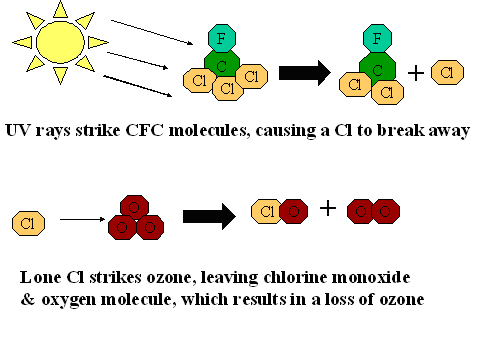 Chlorofluorocarbon Molecule