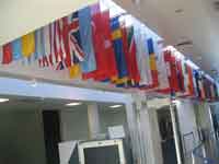 Antarctic Treaty flags
