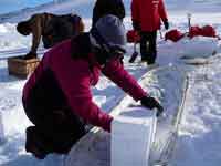 Nicky building snow wall