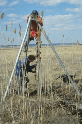 Photo of Researcher Taking a Salt-Marsh Core Sample