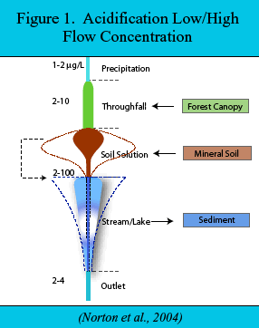 Figure 1. Acidification