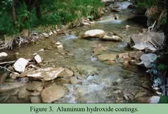 Figure 3. Aluminum Hydroxide Coating