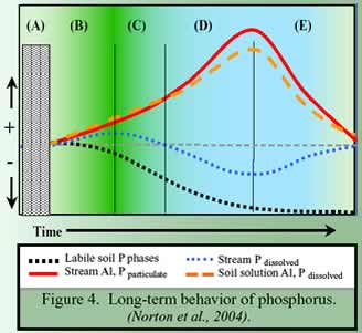 Figure 4. Long-Term Behavior of Phosphorus
