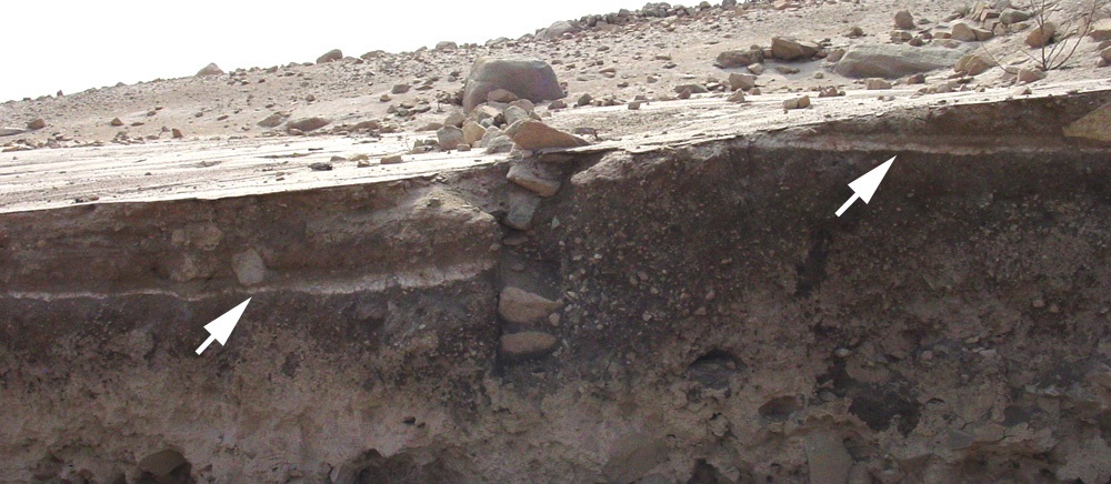 Figure 5: Buried agricultural terrace wall at site TI-185, the setting of ongoing research. Arrows point to volcanic ash from eruption in A.D. 1600.