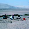 Researchers on a Dig