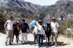 Team with Horses