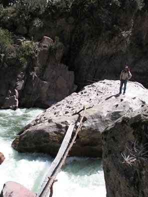 Puente de  palos