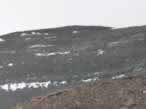 The Permo-Carboniferous stratigraphy exposed along the Discovery Ridge cliffs.  These are the upper sandstones, Glossopteris-containing shales, and coal units.