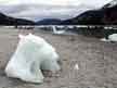 Icebergs on the beach