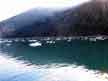 Floating glacial ice in the fjord