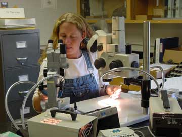 Laboratory for Paleocology and Paleohydrology